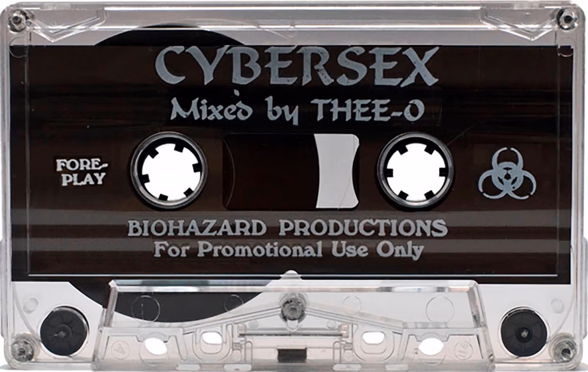 Cybersex – Foreplay image