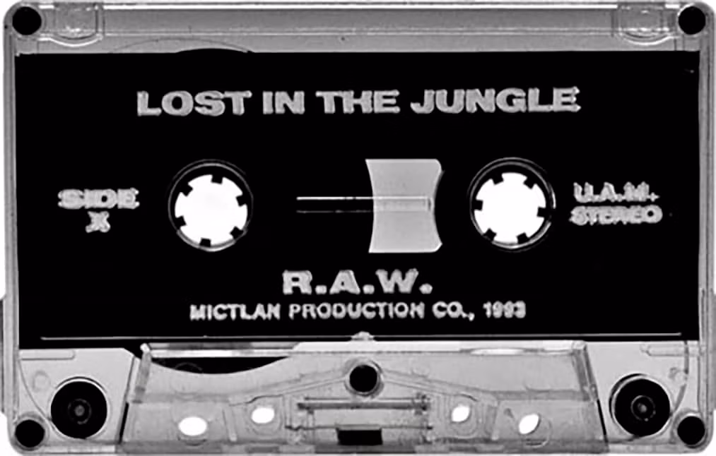 Lost In The Jungle – Lost In The Jungle image