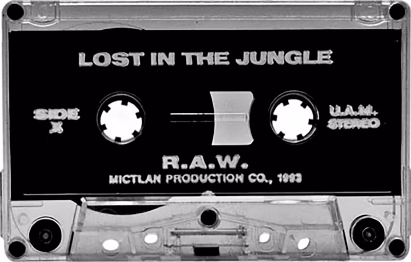 Lost In The Jungle – Lost In The Jungle image